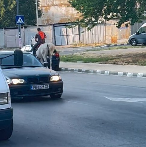 Ездач с бял кон припка по асфалта в Асеновград СНИМКИ