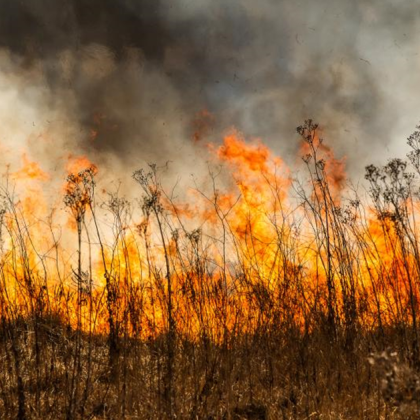 Пожар избухна в природен парк Рилски манастир в района на