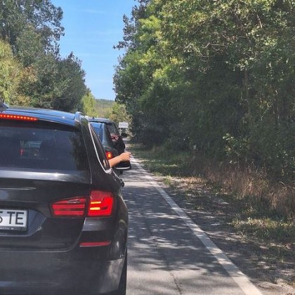 Това лято България гори не преносно съвсем буквално Пожари изпепелиха