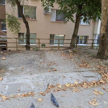 На любопитна гледка се натъкна гражданин в старопрестолния Велико Търново