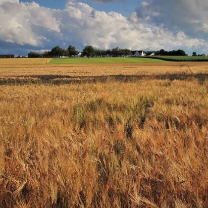 Трупът на 54 годишна жена от Момчилград е бил намерен вчера