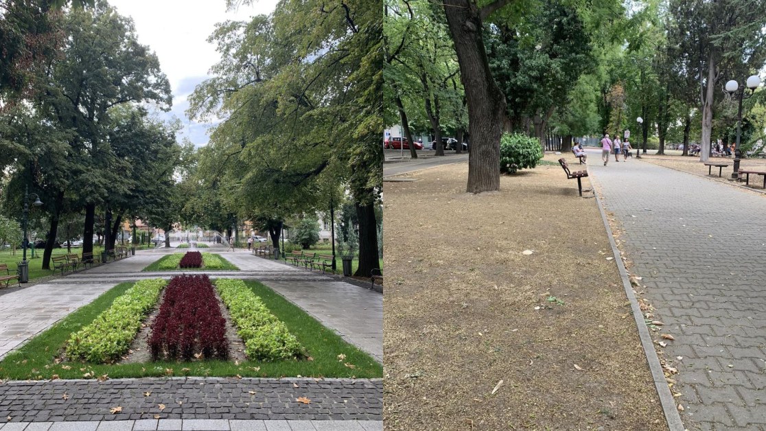 Жена сравни Пловдив и Стара Загора и се зачуди СНИМКИ