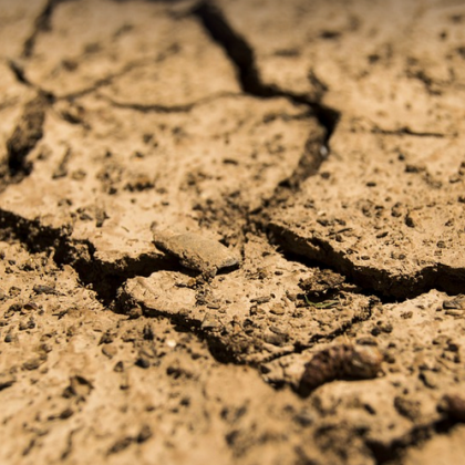 Сериозното засушаване е основна причина за недостига на питейна вода