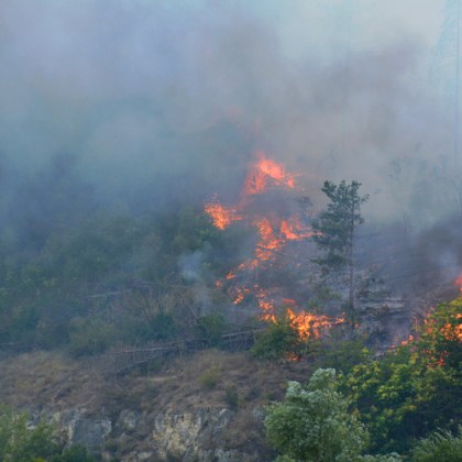 Пожар избухна над Сапарева баня и Паничище Огнището на пламъците е
