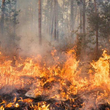 Пожар е възникнал този следобед между общините Брезник и Сливница