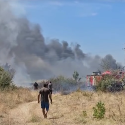 Големият пожар между Хасково и Димитровград който горя в непосредствена
