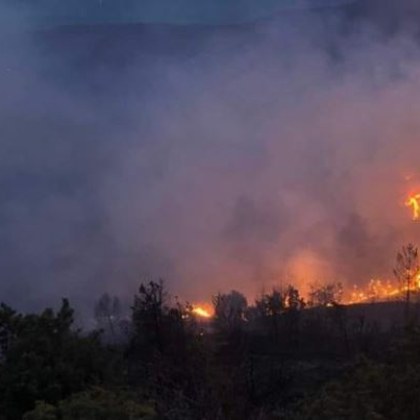 Пожарът във високата част на Рила планина над село Бистрица