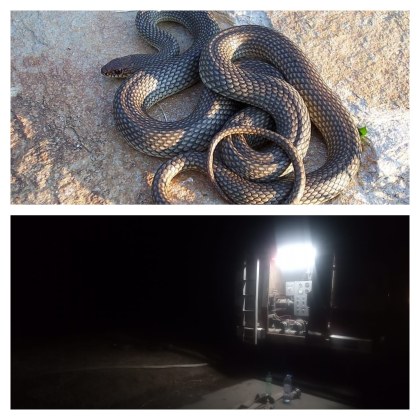 Пожарът между селата Дълбоки и Оряховица е овладян Към момента