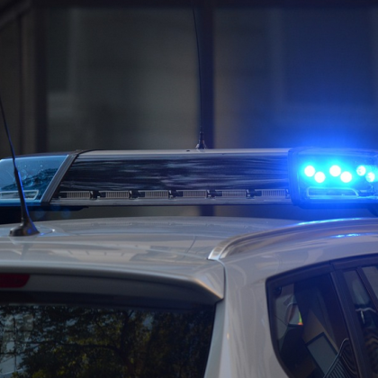 Разследващите от следствената служба на провинция Долна Австрия и Федералната