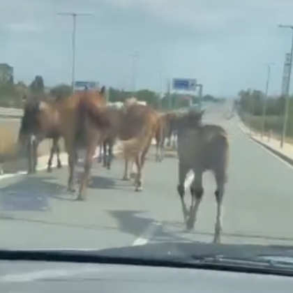 Абсурдна но и потенциално опасна случка се е разиграла в