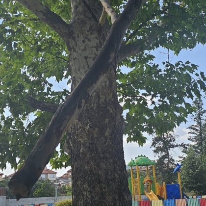 Жена изрази в социалните мрежи възмущението и тревогата си от