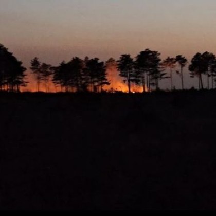 Пожар гори в района на село Каменар над Варна съобщиха