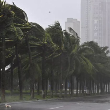Супертайфунът Яги изкорени хиляди дървета и отнесе кораби и лодки