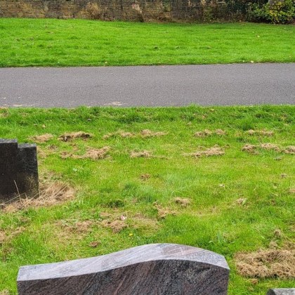 Повече от 300 тела са открити в масов гроб в