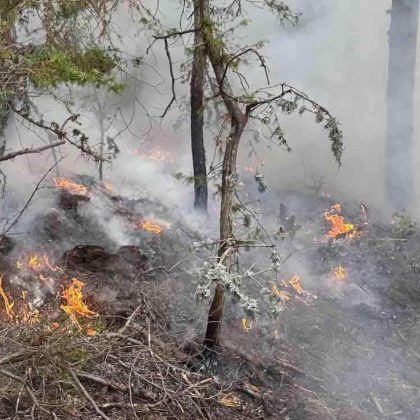 Пожар пламна в подножието на Пирин в района на село