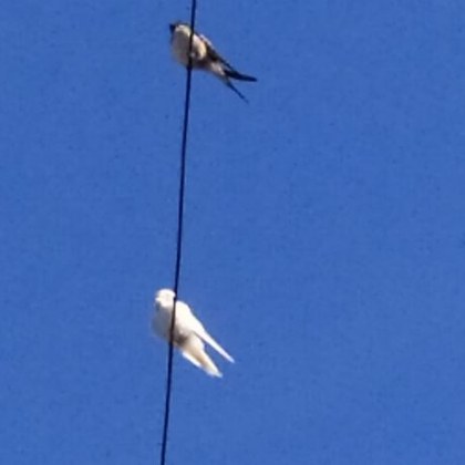 Навръх големия християнски празник Малка Богородица който чества рождението на