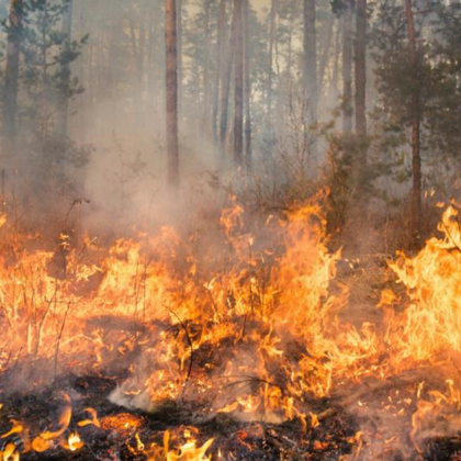 Пожар пламна над старозагорското село Медово Огънят е обхванал треви и