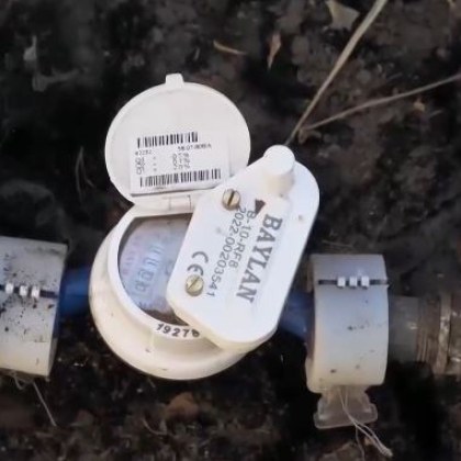 Жителка на русенското село Николово разказа че се върти в