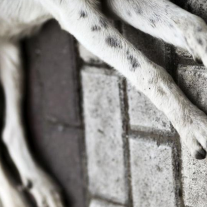 Десислава Иванова твърди чрез публикация в социалната мрежа Facebook че в