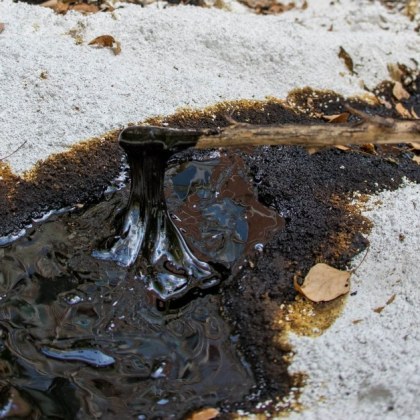 От юни граждани сигнализират че в столичния квартал Младост нефт