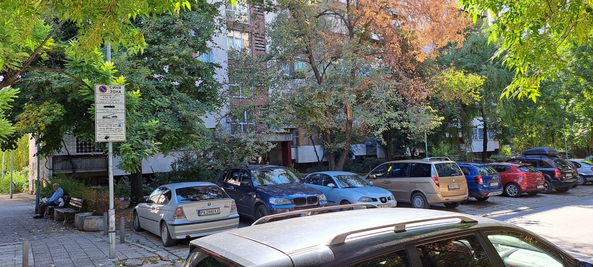 Шофьорка в Пловдив: Скрит знак пълни джоба на общината поголовно?