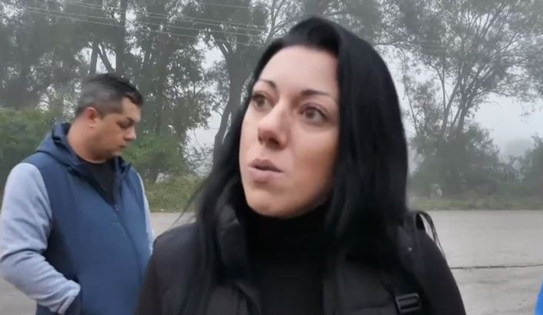 Жена твърди, че е била нападната от глутница кучета