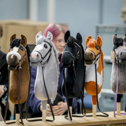 Първото първенство на Германия по хоби коне започна във Франкфурт