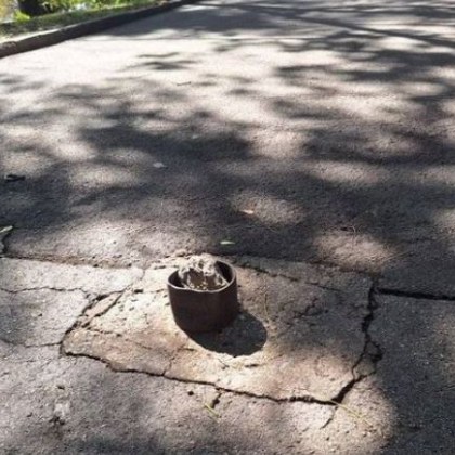 Варненец алармира за опасност на алея в морската столица Част от