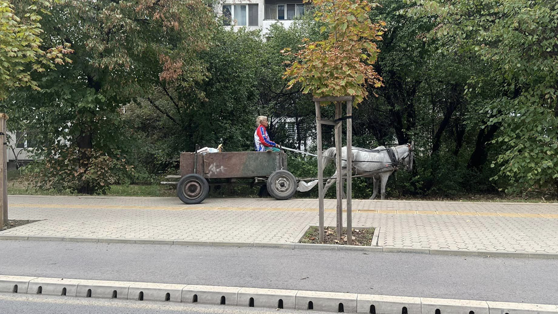 Каруца пердаши по тротоар в София СНИМКИ