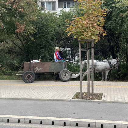 В София отново бе забелязана каруца движеща се по тротоара на