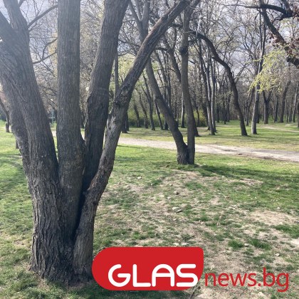 Ето какво време ни очаква днес