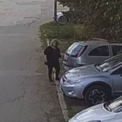 Жена е видяна да изхвърля домашно куче Случката се разиграла