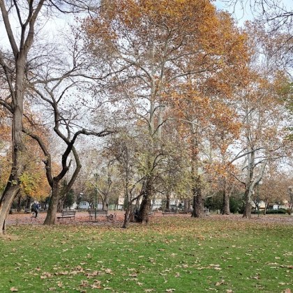 Въвежда се временна организация на движението по ул Георги Кондолов