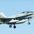 Изтребител F-18 се разби, има жертва