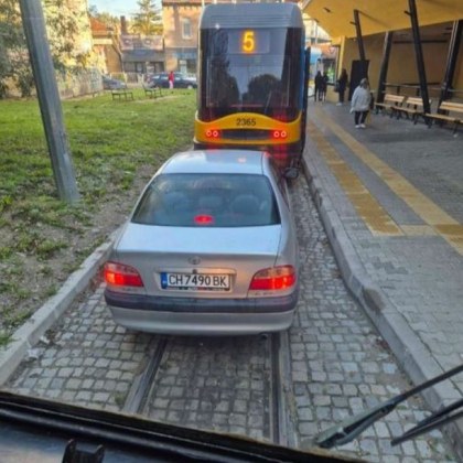 Куриозно но факт кола се озова между цели два