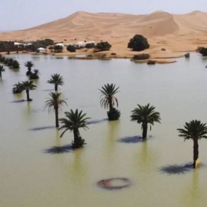 Редки порои са оставили сини лагуни сред палмите и пясъчните