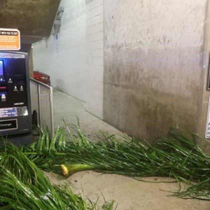 Ураганът Милтън намали силата си до втора категория Въпреки това