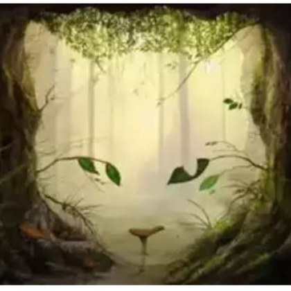 Личностните тестове са добър начин да изпитате мозъка си Тази