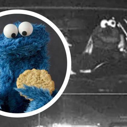 Полицията в Германия се опитва да намери синьото чудовище движело