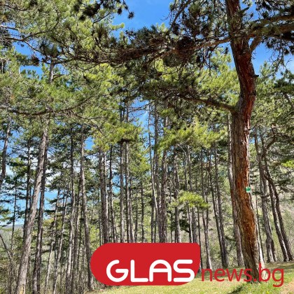 Времето днес ще бъде предимно слънчево Ще духа до умерен