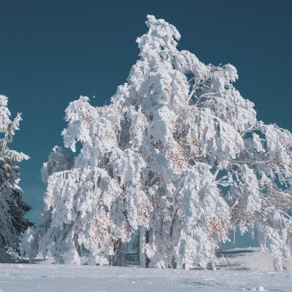 Предстоящата зима може да е по студена и с повече валежи