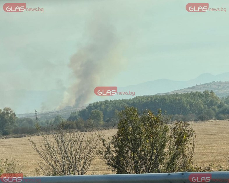 Пожар избухна край АМ Тракия