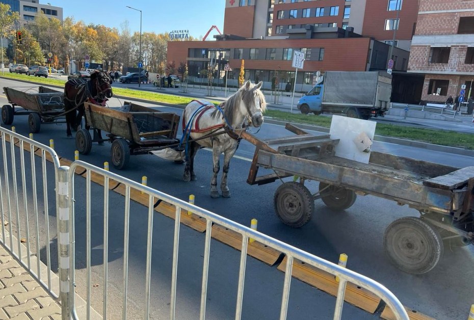 Конвой от каручки се появи на булевард в София СНИМКА