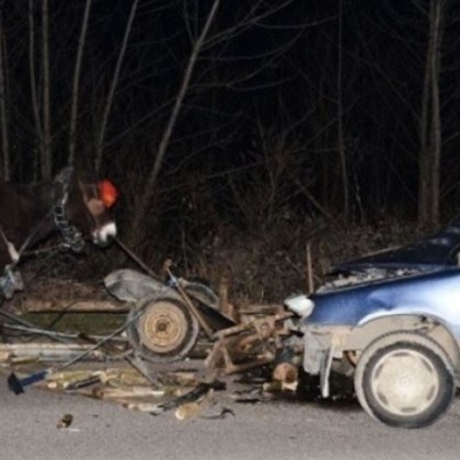 Катастрофа е станала тази сутрин край Септември Възрастен водач на