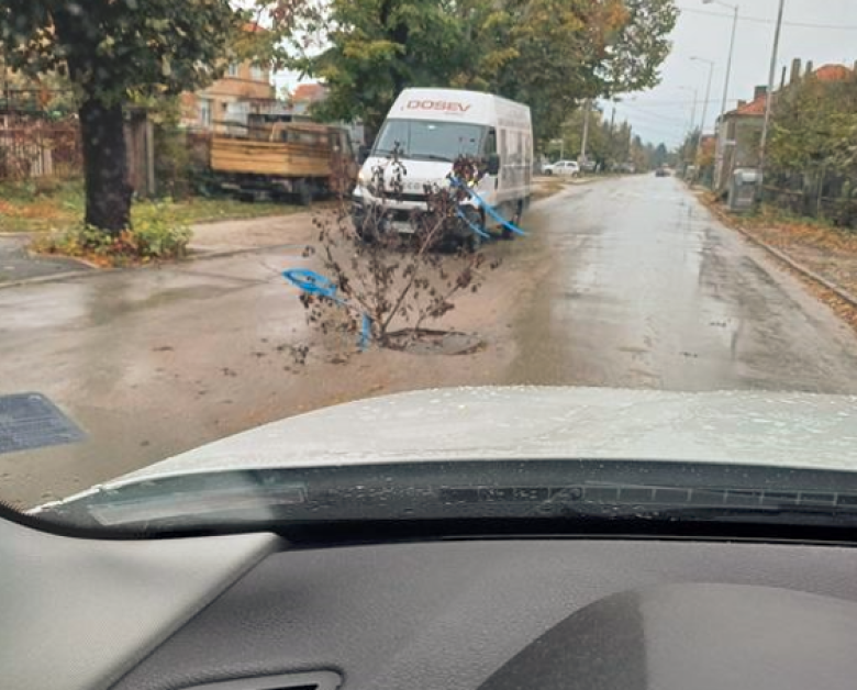 Коледна украса? Използваха дръвче, за да се обезопаси шахта
