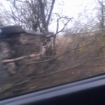 Пътен инцидент стана тази сутрин край Плевен Лек автомобил се