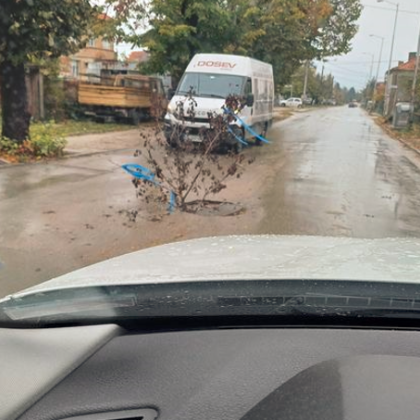 Коледна украса? Използваха дръвче, за да се обезопаси шахта