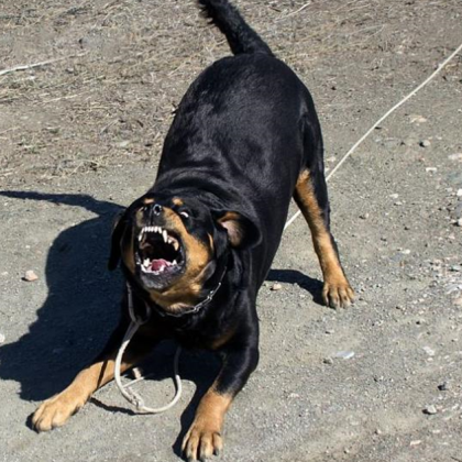 Полина Иванова съобщи в социалната мрежа Facebook за неприятен инцидент