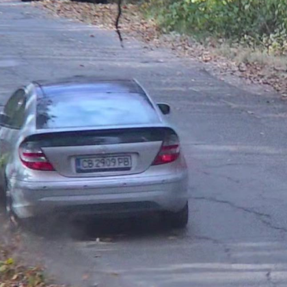 Видео на брутален акт на насилие срещу животно заснет в местност