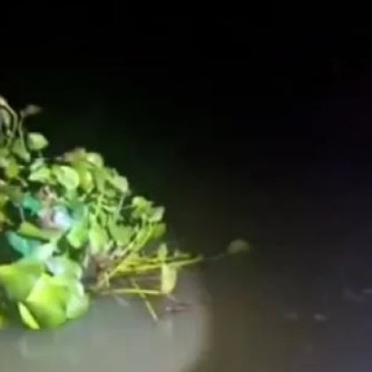 Полицията арестува контрабандист на цигари маскиран като цветето воден зюмбюл